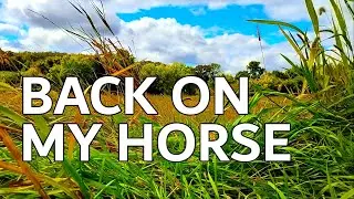 Back on My Horse by Johan Glossner | The Hidden Meadow - Peaceful Countryside View