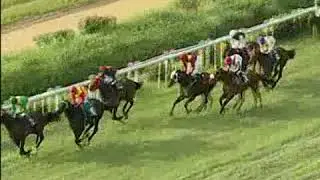 THE CALCUTTA MONSOON DERBY 2019 GRADE II 29092019 99