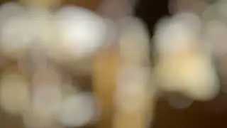 Warm Atmosphere Bokeh Lights Loop 4K | Celebrating Wedding Design 🌞💍