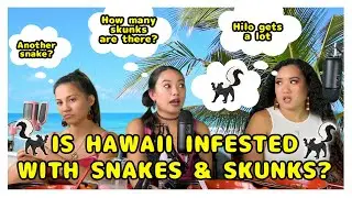 Dish Over Dishes Ep 4 - Invasive Species in Hawaiʻi
