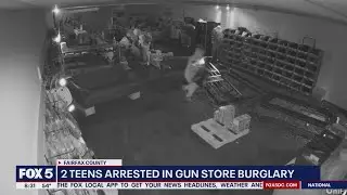 2 teens arrested in Virginia gun store smash-and-grab burglary