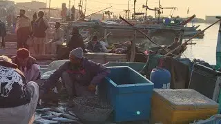 Kala dhandiya ka shikar..Ibrahim hadri sa fishing update 12#1#2026(Karachi fishing 🎣 Ibrahim hadri )