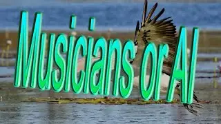 Ai music and Musicians, with a Pelican in the room.