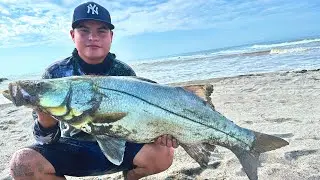 🔥INCREÍBLE PELEA de RÓBALO de 13 KILOS // PESCA de RÓBALO con BAILARINA PLUMERO🔥