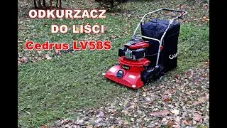 Cedrus LV58S 4w1 - Spalinowy odkurzacz/dmuchawa  do liści, igieł itp Test Recenzja