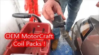 Motorcraft 1999-2004 Mustang GT Coil Packs