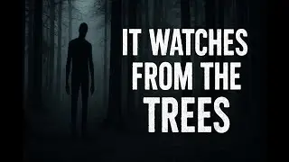 It Watches from the Trees: The Terrifying Missing 411 Case They Tried to Bury