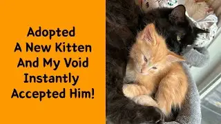 50 Wholesome Rescue Pet Pics To Heal Your Soul 16/16 - Rescue pet