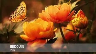 Beatport top 10 April 2022(Organic House / Downtempo)