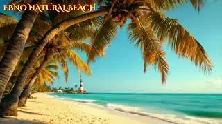 Tropical Beach Harmony Breaths Deeper Than Night For Peaceful Sleep Journey 🌊