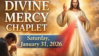 Divine Mercy Chaplet | Saturday January 31, 2026 | Jesus I Trust in You