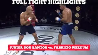 Junior Dos Santos vs. Fabricio Werdum | FULL FIGHT HIGHLIGHTS💪🔥