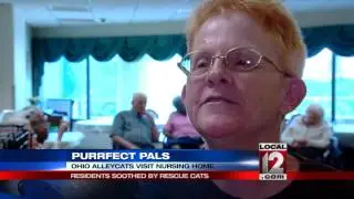 Residents of local nursing home soothed by rescue cats