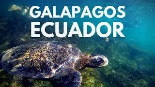 Ecuador 1 | Galapagos Islands - G Adventures