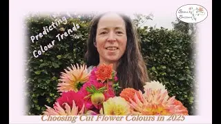 Which Colour Flowers to grow in 2025// Stems by Suzanne Cut Flower Garden🌺