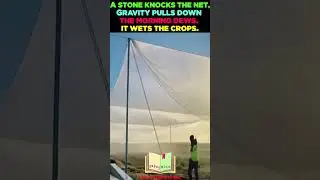 Gravity pulls down the moisture #physics #gravity #gravitationalpull #moisture #water #agriculture