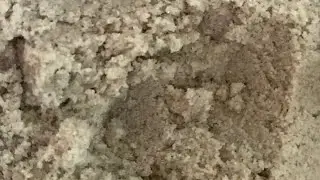 just clearwater 💗 #asmr #sandchewing #asmrsounds