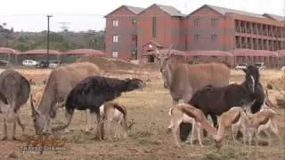 Bains Game Lodge Accommodation Bloemfontein South Africa