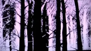 The Crow TV Spot for Palladia