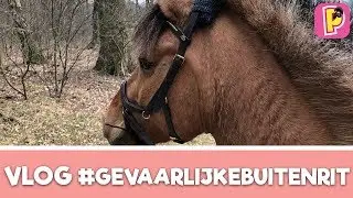 Felinehoi rijdt een gevaarlijke buitenrit | VLOG | PennyTV