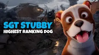 Sgt. Stubby: A True Bestfriend