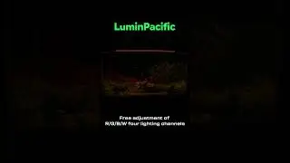 IP67 Waterproof DIY Timer Freshwater Planted Tank light #aquariumlife  #aquariumlight