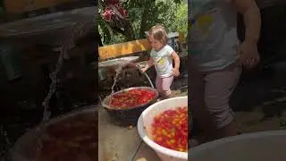 Erik suyumu hem yapar hem i&ccedil;erim  #vlog #g&uuml;nl&uuml;kvlog #keşfet #fyp #food  #erik #keşfetteyiz #trending