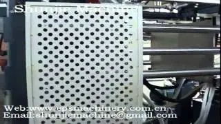 EPS Shape molding line
