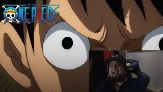 Allies Assembled & Commence Operation Suicide - Live Reaction One Piece Episode 911