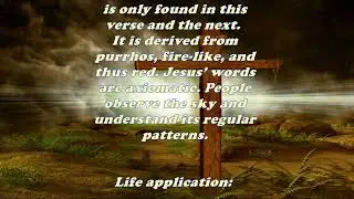Daily Bible Verse Commentary - Matthew 16:2