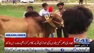 News Headlines | 10:00 AM | 30 August 2017 | City 41