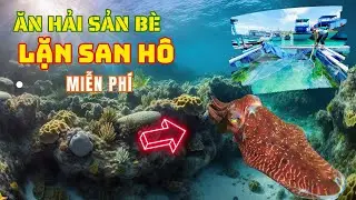 Ăn hải sản bè ngon hết sẩy được lặn san hô miễn phí ở đảo Phú Quý  ❤️  Phan Thiết Phố  🏝