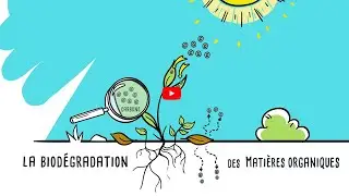 FR - Biod&eacute;gradation et cycle du carbone