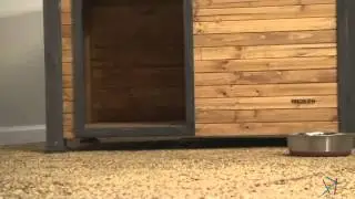 Precision Outback Log Cabin Dog House - Product Review Video