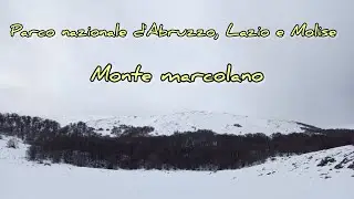 Trekking - Parco Nazionale d'Abruzzo, Lazio e Molise.