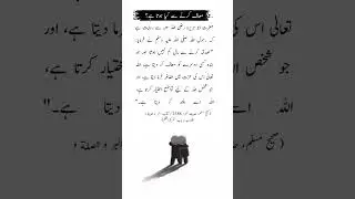 Forgive Others & Allah Will Honor You &ndash; Beautiful Hadith #shorts