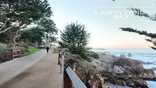 A Gentle Evening Walk in Pacific Grove Monterey Bay, January Calm