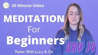Day 14 - Meditation for Beginners Series ~ World ~ A Guided Meditation Series for Anxiety