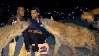 Iskudey cabsidiisa wata | Hyena | crazy experience| Harar | Ethiopia 🇪🇹￼