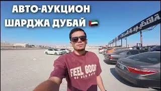 Авто-Аукцион Шарджа Дубай 🇦🇪 300-400 машин за одну ночь 😱 #авто #автоиздубай #аукционавто 