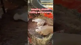 Wow amazing chicken cutting and process #shortsvideo #shorts #foryou