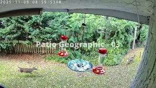 03 - Patio Geographic (Nov2025)