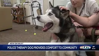 Bardstown Police Department using therapy dog to help manage stress