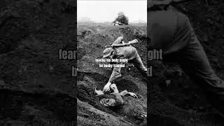 Iwo Jima War. #history #ww2