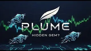 Plume &mdash; скрытая жемчужина 2025 года?