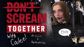 Don't Scream Together With HARMONICAS