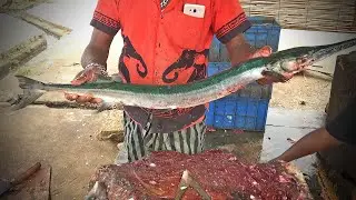 Garfish Cutting Super Fast  | Fish Cutting Skills | Negombo Fish Market  (EP 47)