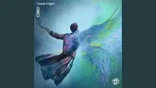 Stable Flight