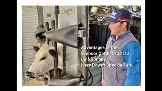 The advantages of the Silencer Cattle Crush to Dale Jones Ivery Downs Speckle Park Property