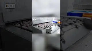 #shorts Stainless Steel Tunnel Freezer for Seafood Processing Industry IQF Flash Freezer Equipment.